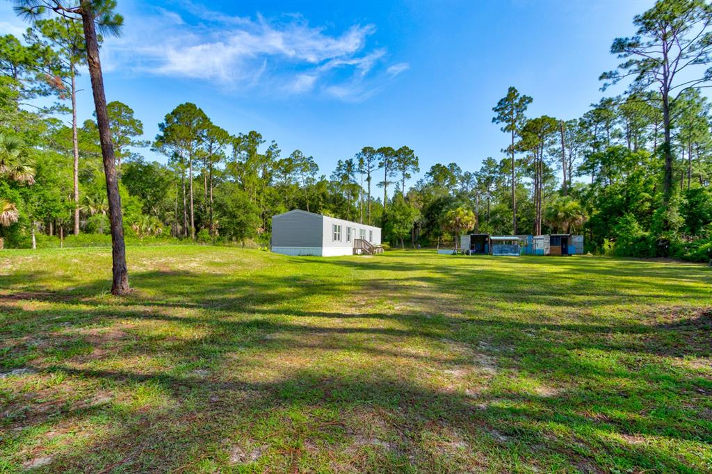A manufactured home sits on a large, grassy lot surrounded by tall pine trees — 5074 BUTTERNUT AVENUE, BUNNELL, FL