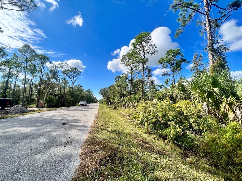 A paved road runs alongside a wooded lot with pine trees and native vegetation — 27372 LAS LOMAS DRIVE, PUNTA GORDA, FL