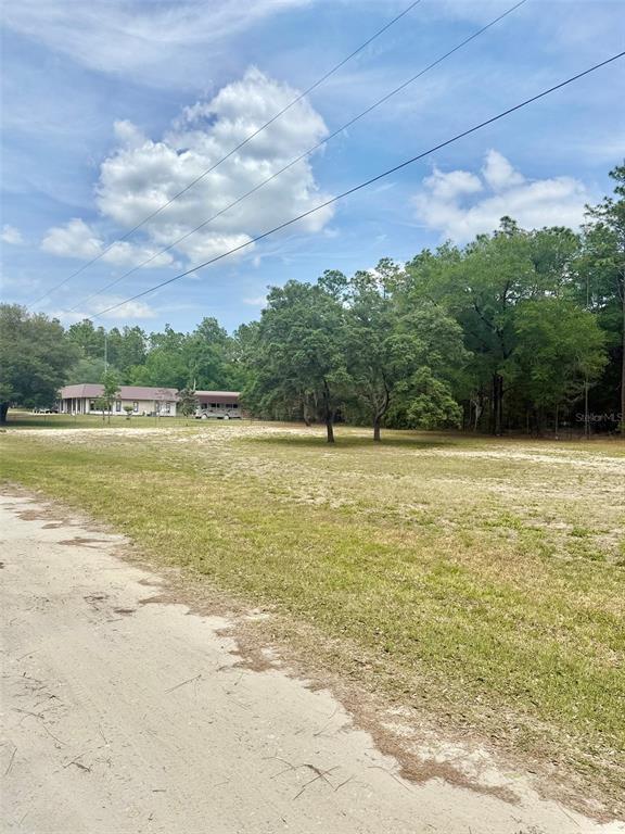 A grassy, partially sandy vacant lot features scattered trees under a blue sky with clouds — TBD SW 158TH AVE LOT 16, OCALA, FL