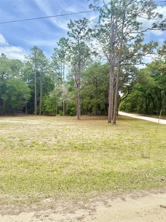 A grassy, partially wooded vacant lot sits next to a dirt road under a blue sky — TBD SW 158TH AVE LOT 16, OCALA, FL