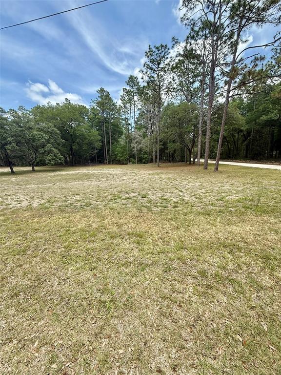 A grassy, open lot features scattered trees and a dirt road along the right edge — TBD SW 158TH AVE LOT 16, OCALA, FL
