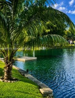 A palm tree stands on a grassy bank overlooking a calm lake with a small dock — 7551 SW 42nd Pl, Davie FL 33314, DAVIE, FL