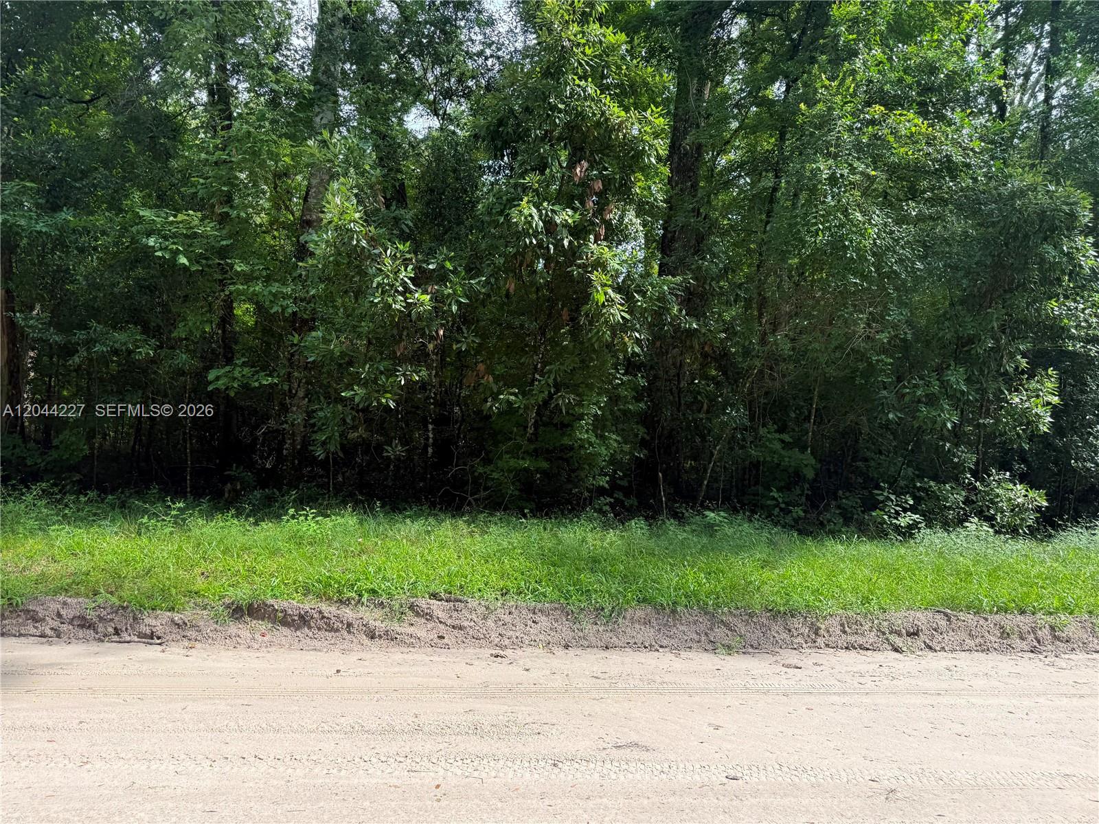A dirt road runs in front of a dense, wooded lot with tall green trees — 36 SW Bumble Street Fort White, FL 32038, FL