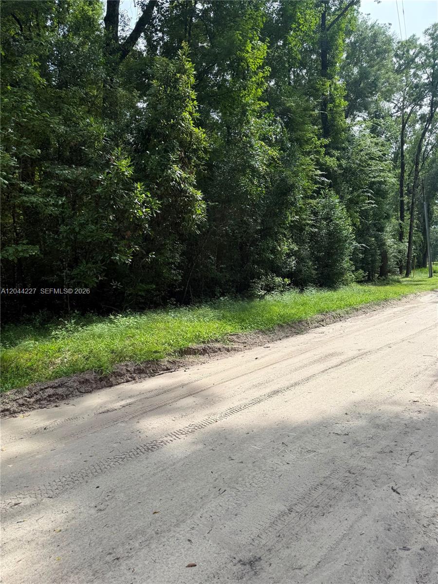 A dirt road runs alongside a dense, wooded area with green trees and vegetation — 36 SW Bumble Street Fort White, FL 32038, FL