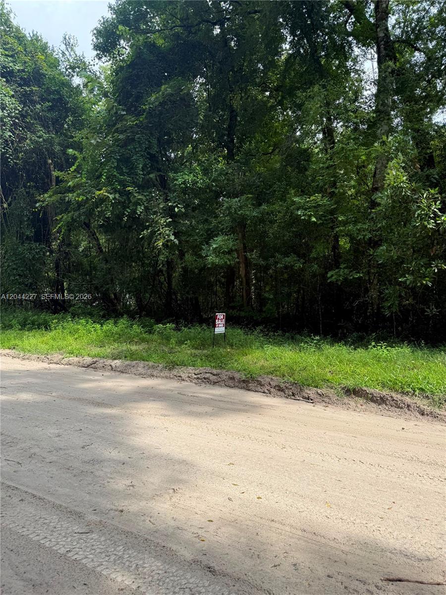 A dirt road runs in front of a wooded lot with a for sale sign — 36 SW Bumble Street Fort White, FL 32038, FL