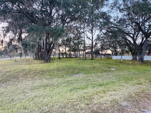 A grassy, vacant lot features several large, moss-draped oak trees under a clear sky — 17481 CELIA AVENUE, BROOKSVILLE, FL