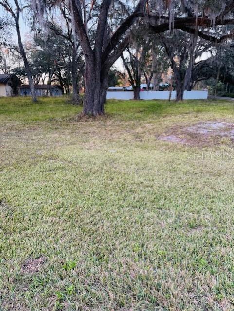 A grassy, open lot features large, moss-draped trees and a white fence in the background — 17481 CELIA AVENUE, BROOKSVILLE, FL