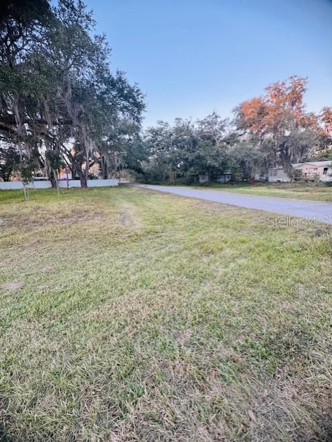 A grassy vacant lot sits next to a paved road lined with mature oak trees — 17481 CELIA AVENUE, BROOKSVILLE, FL