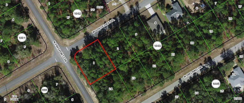 156 W Goldcoast Place, FL 34434
