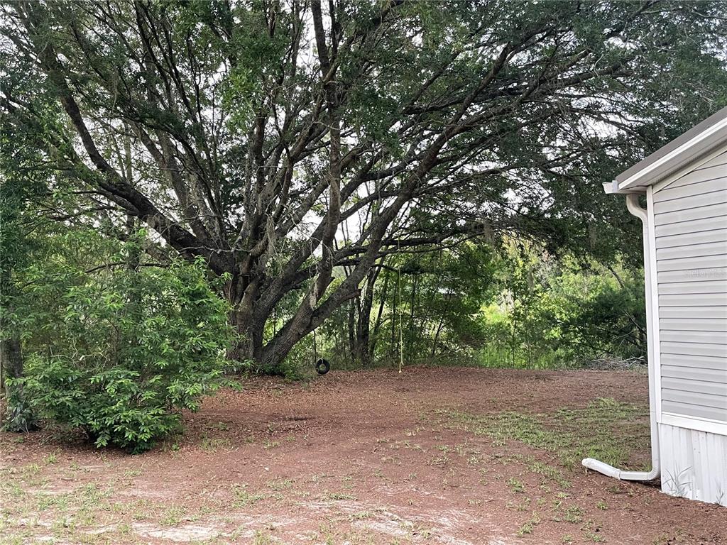 A large oak tree with a tire swing stands in a dirt yard beside a house — 8890 SE 66TH CIRCLE, TRENTON, FL