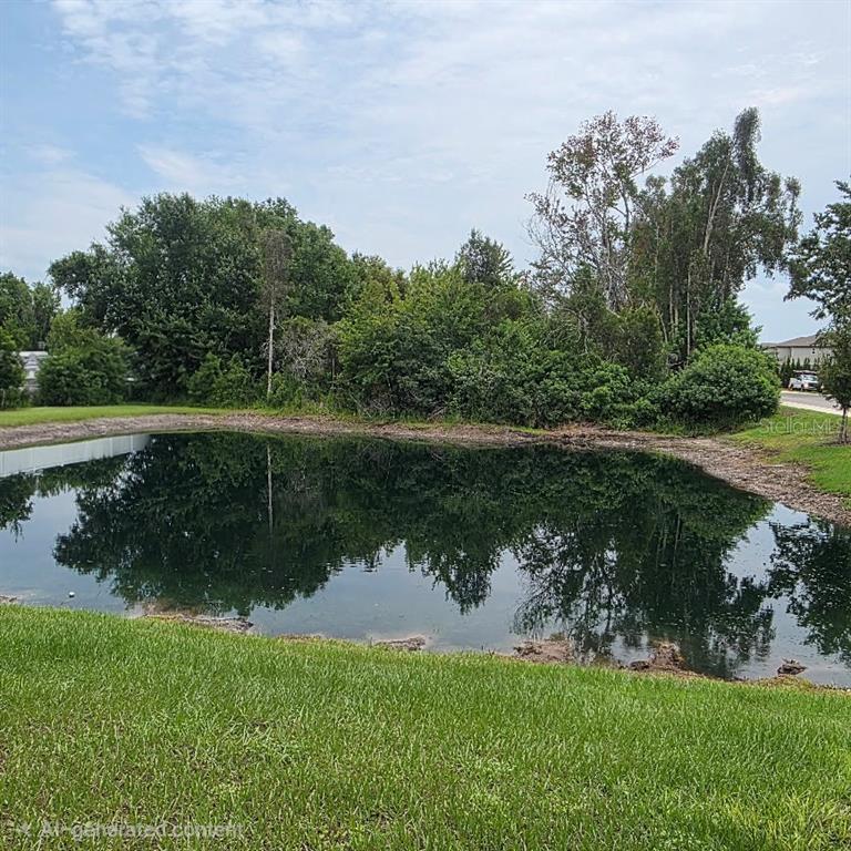 A small pond is surrounded by a grassy lawn and dense trees under a cloudy sky — 6076 SHINER STREET, LAND O LAKES, FL
