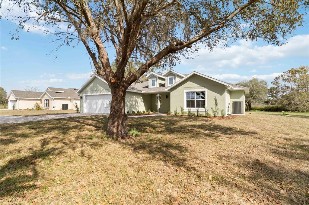 A light green single-story house with a two-car garage and a large tree in front — 4255 TUCKER AVENUE, ST CLOUD, FL