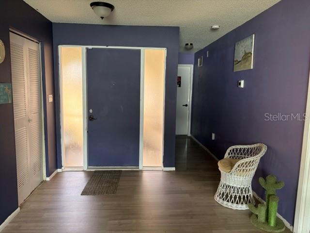 An entryway features a dark blue front door with sidelights, wood-look flooring, and purple walls — 1381 EAGLE STREET, PORT CHARLOTTE, FL