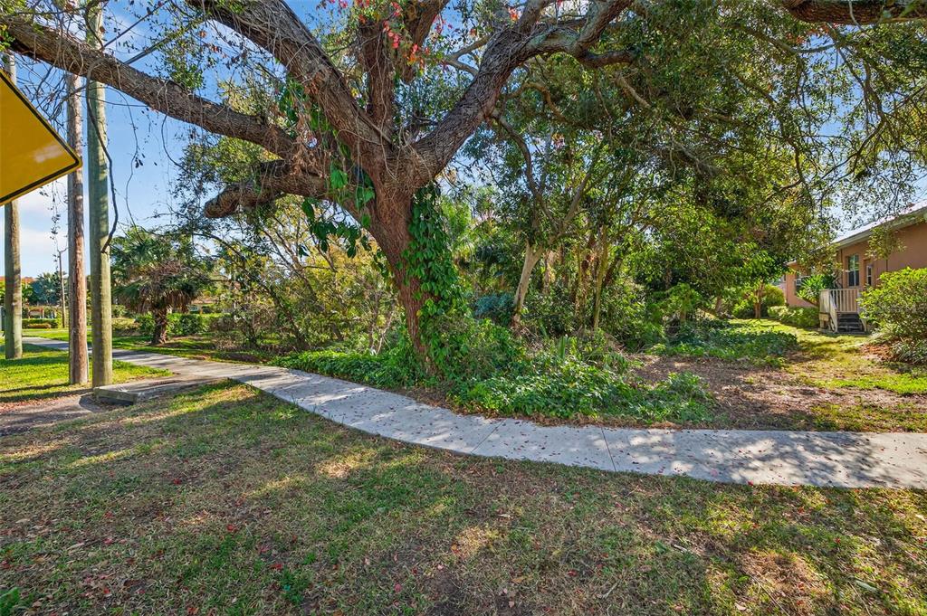 A concrete sidewalk winds past a large, mature tree in a grassy residential yard — ROYAL PALM DRIVE S, GULFPORT, FL