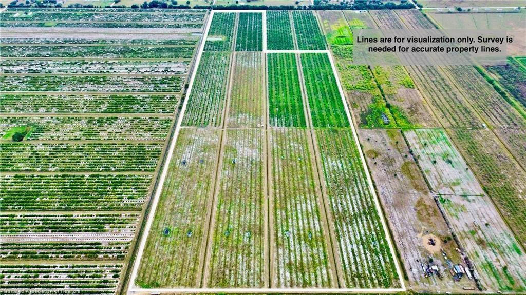 An aerial view of a large, rectangular agricultural property with rows of crops — 3288 Auburn Street, FL 33857, FL