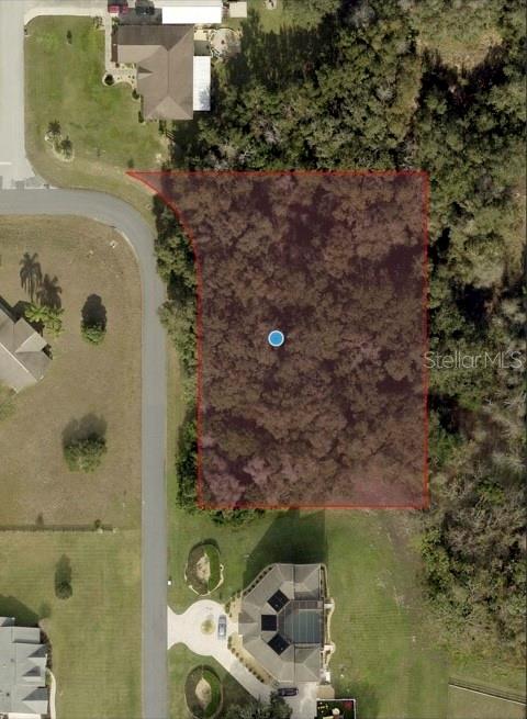 An aerial map view shows a wooded lot highlighted in red next to a residential street — HUTCHINSON WAY, LADY LAKE, FL