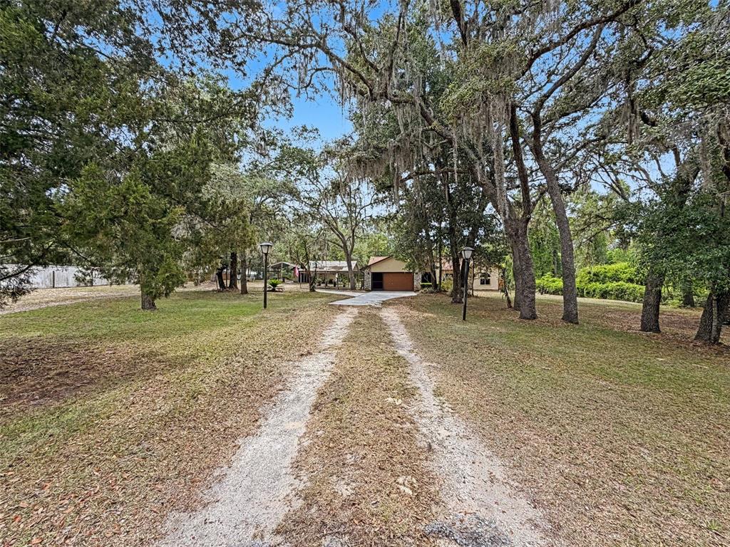 A concrete driveway leads through a gated entrance toward a house surrounded by mossy trees — 7111 RICKER AVENUE, WEBSTER, FL