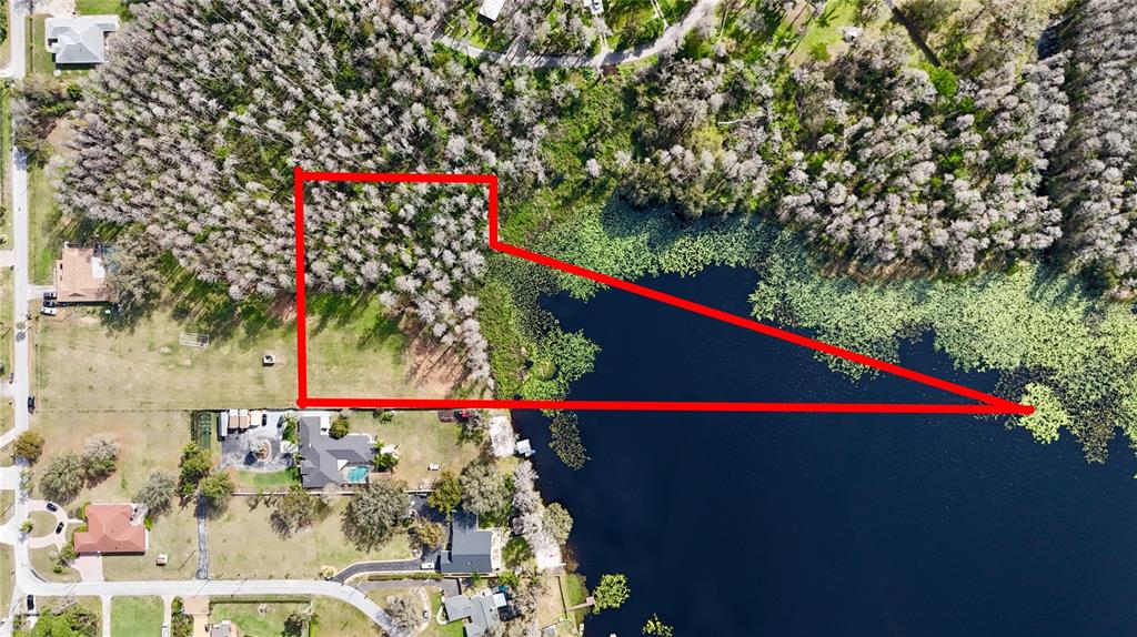 An aerial view shows a residential lot outlined in red bordering a lake and woods — BLOUNT ROAD, LUTZ, FL