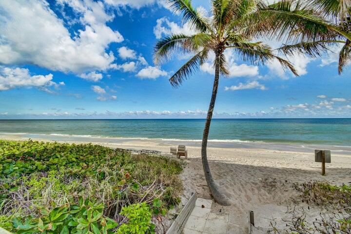 A sandy beach path leads past a palm tree toward the ocean under a blue sky — 3221 S Ocean Boulevard # 207, Highland Beach FL 33487, HIGHLAND BEACH, FL