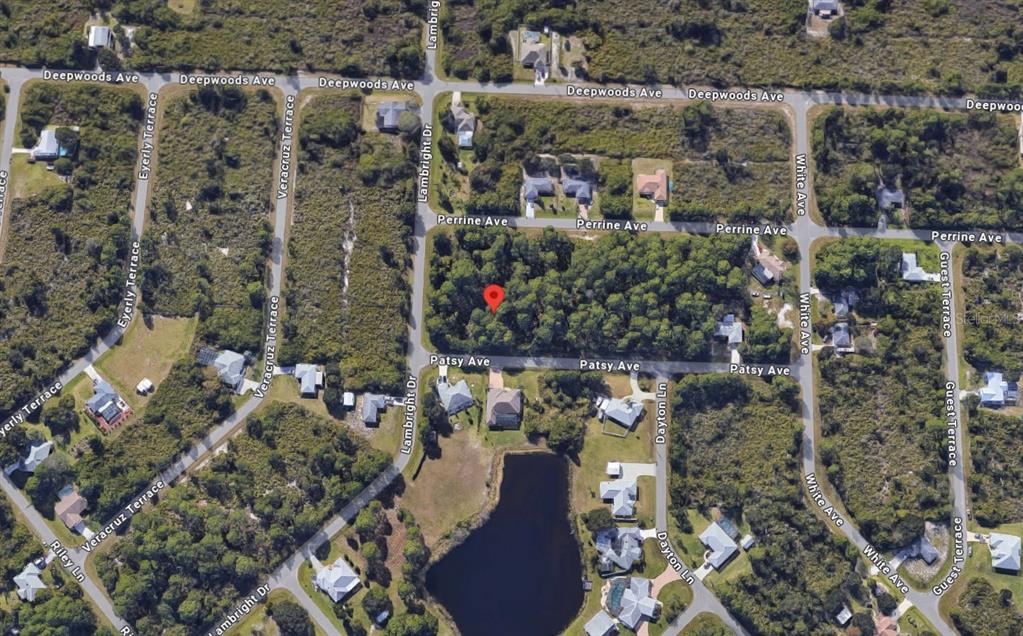 This is an aerial map view of a wooded residential lot marked with a pin — 12519 PATSY AVENUE, PORT CHARLOTTE, FL