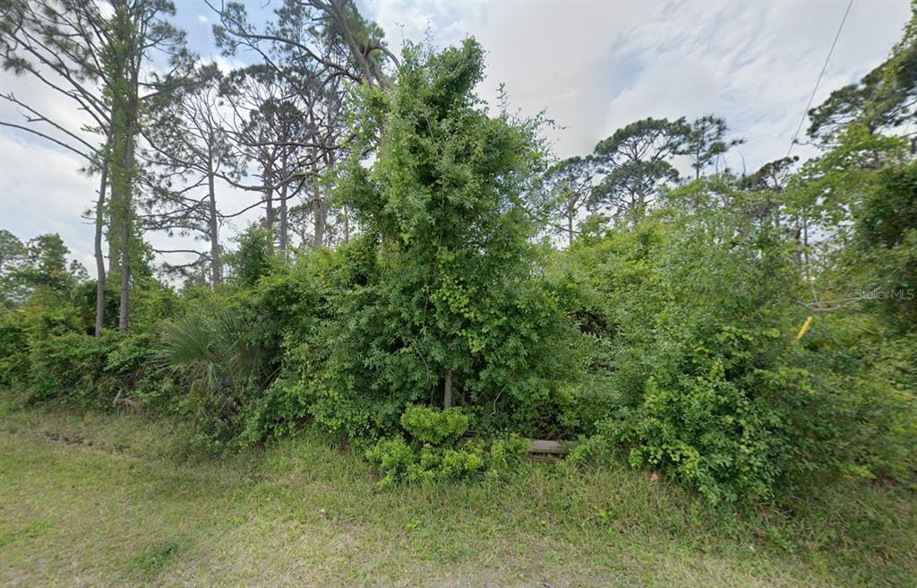 A dense, overgrown lot with various trees and thick vegetation under a cloudy sky — 12519 PATSY AVENUE, PORT CHARLOTTE, FL