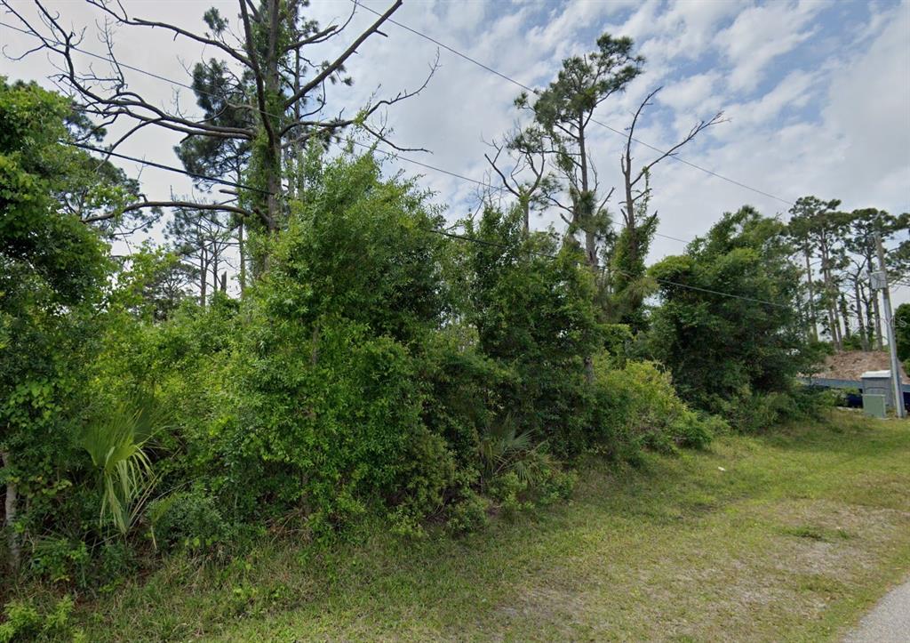 A vacant, heavily wooded lot with tall pine trees and dense undergrowth — 12519 PATSY AVENUE, PORT CHARLOTTE, FL