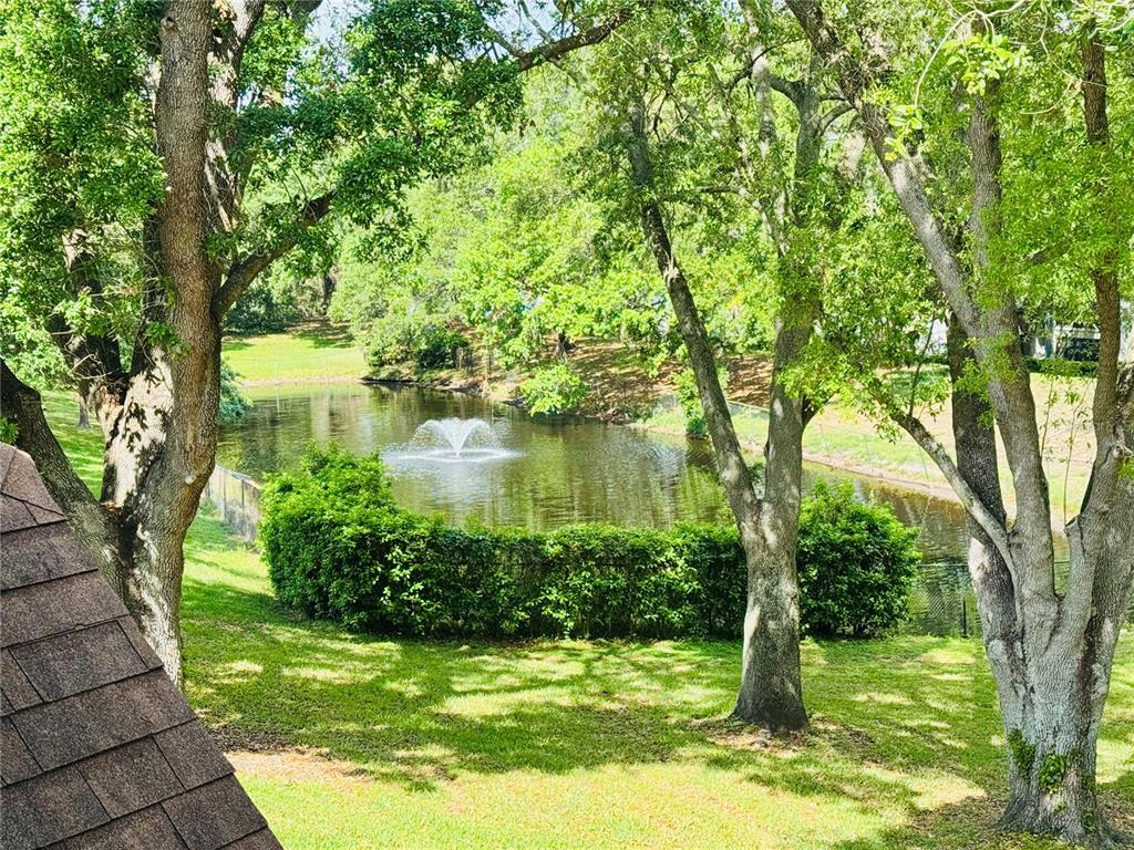 A view of a pond with a fountain, surrounded by trees and a grassy yard — 385 WOODSIDE DRIVE UNIT 201, ALTAMONTE SPRINGS, FL