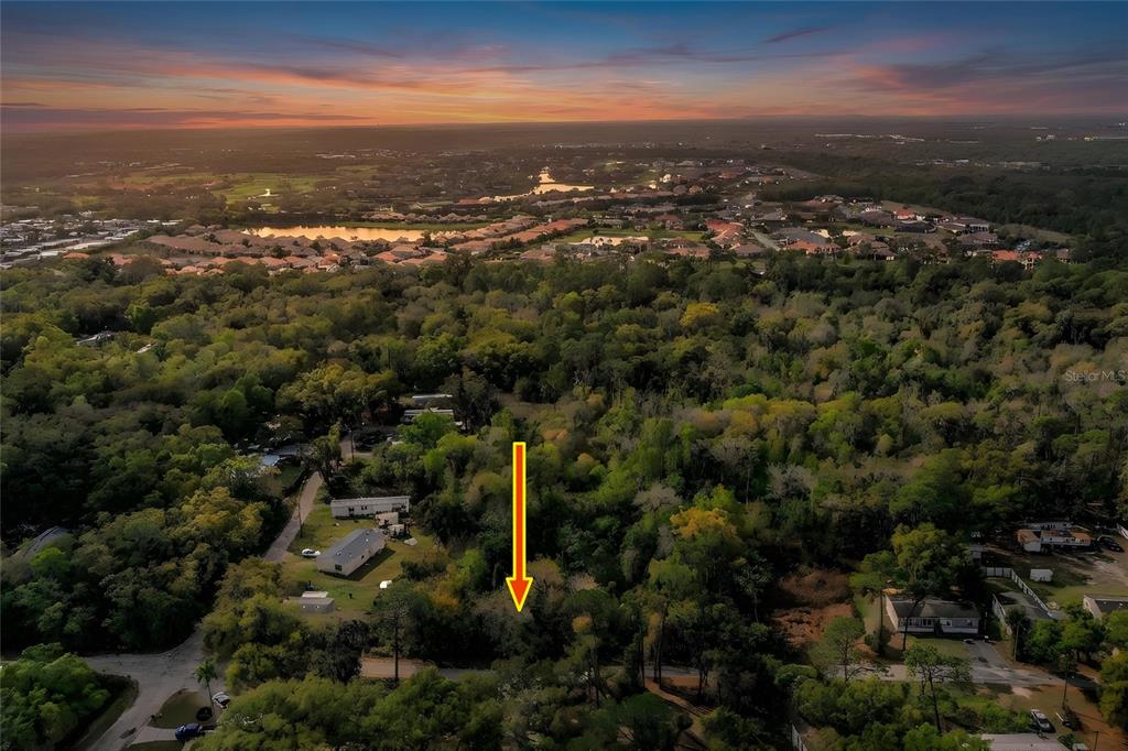 An aerial view shows a wooded lot marked by a yellow arrow near residential homes — 0 FAYE STREET, LAKELAND, FL