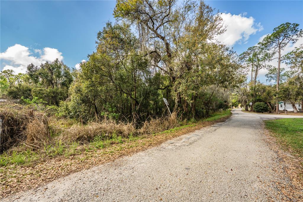 A gravel road runs alongside a wooded lot with mature trees under a blue sky — 0 FAYE STREET, LAKELAND, FL