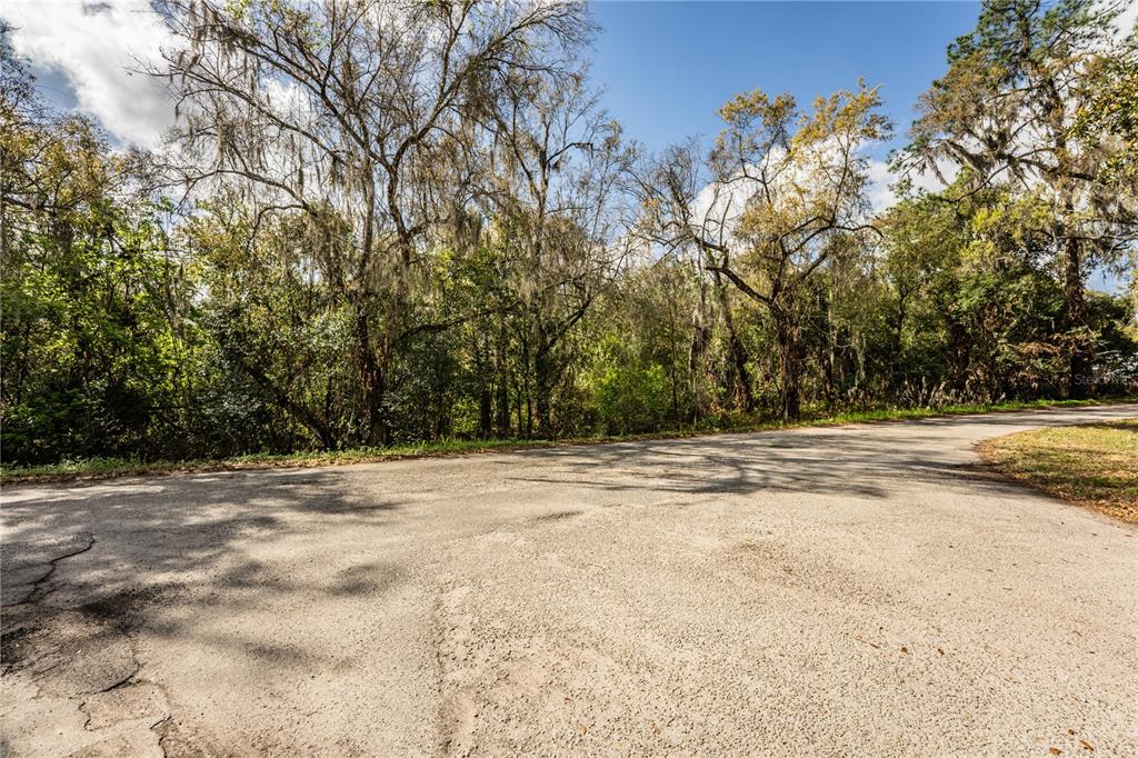 An asphalt road curves past a dense forest of trees with hanging Spanish moss — 0 FAYE STREET, LAKELAND, FL