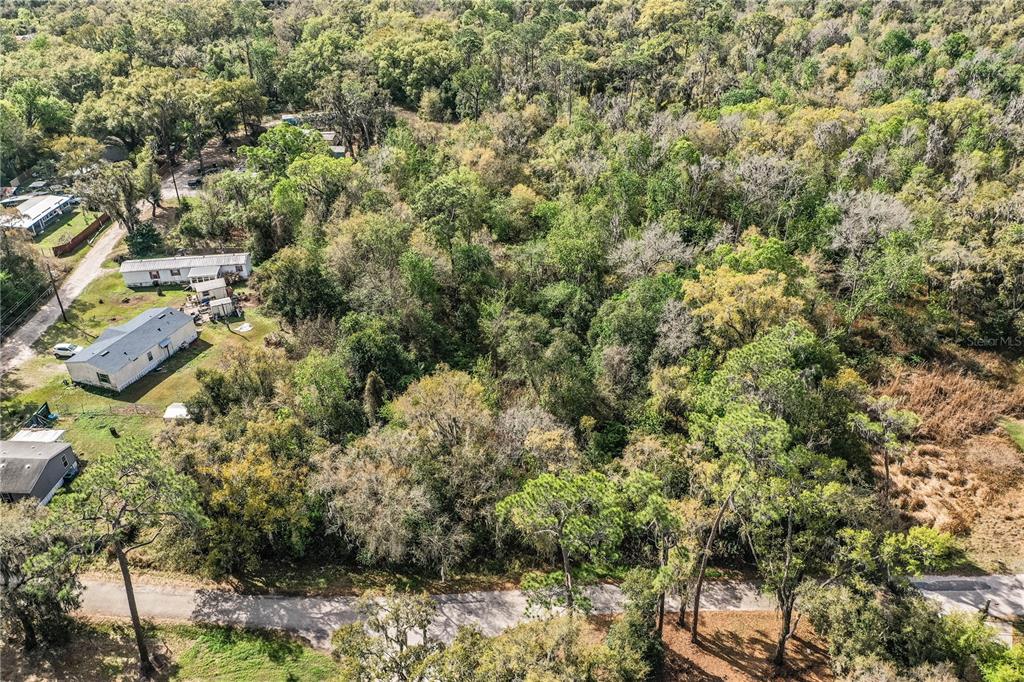An aerial view shows a wooded lot adjacent to several residential homes and a road — 0 FAYE STREET, LAKELAND, FL