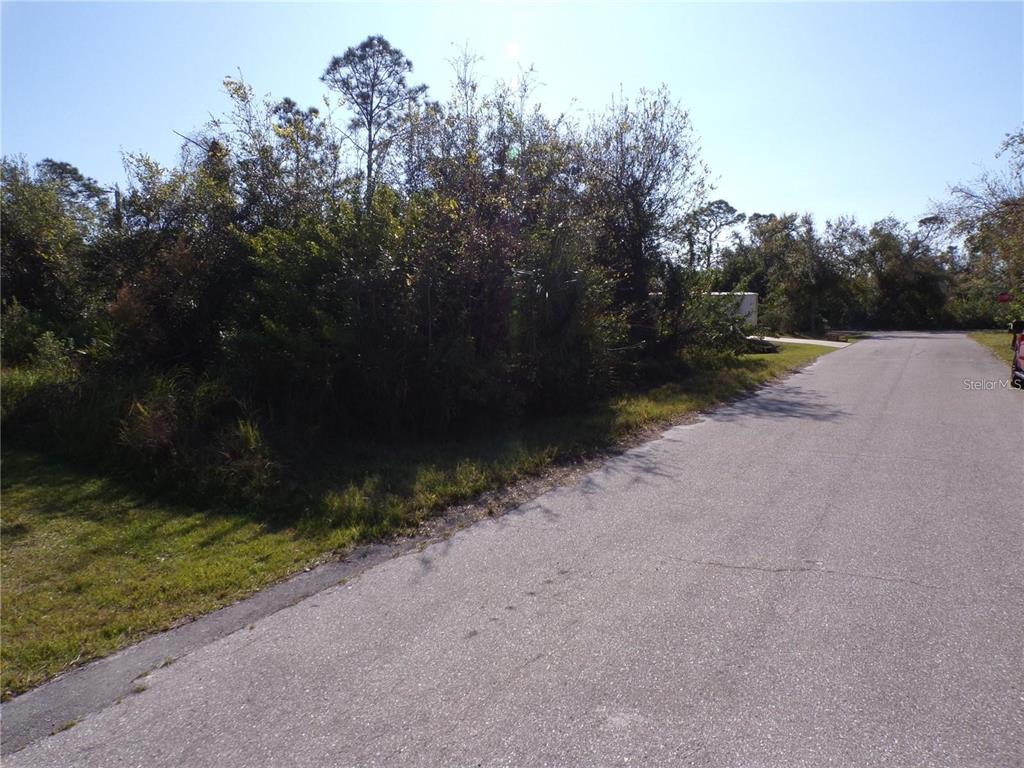 A paved road runs alongside a vacant, heavily wooded lot under a clear blue sky — 3490 DUNKIRK STREET, PUNTA GORDA, FL