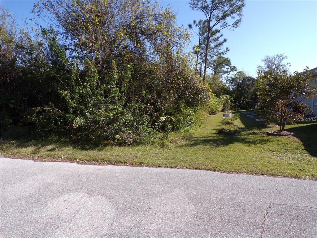 A view of a grassy, overgrown vacant lot next to a paved residential street — 3490 DUNKIRK STREET, PUNTA GORDA, FL