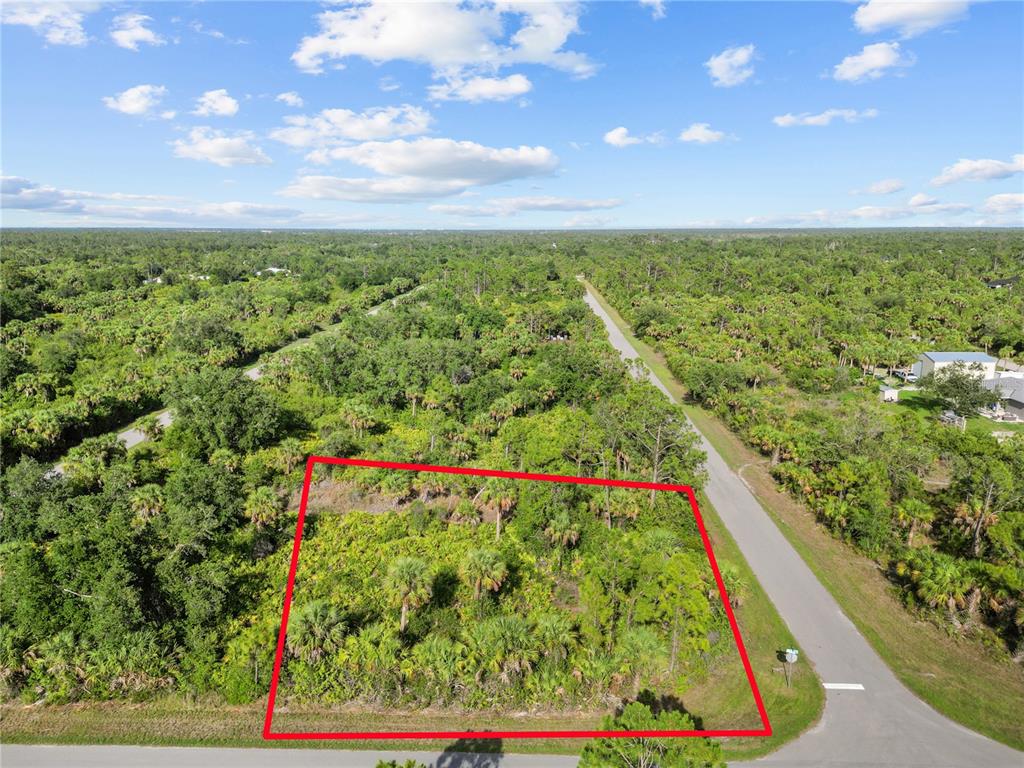 An aerial view shows a rectangular, wooded vacant lot outlined in red next to a road — 14114 CARNEY AVENUE, PORT CHARLOTTE, FL