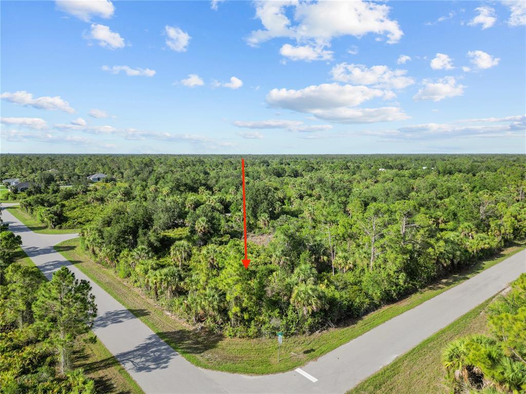 An aerial view shows a vacant, wooded corner lot marked by a red arrow — 14114 CARNEY AVENUE, PORT CHARLOTTE, FL