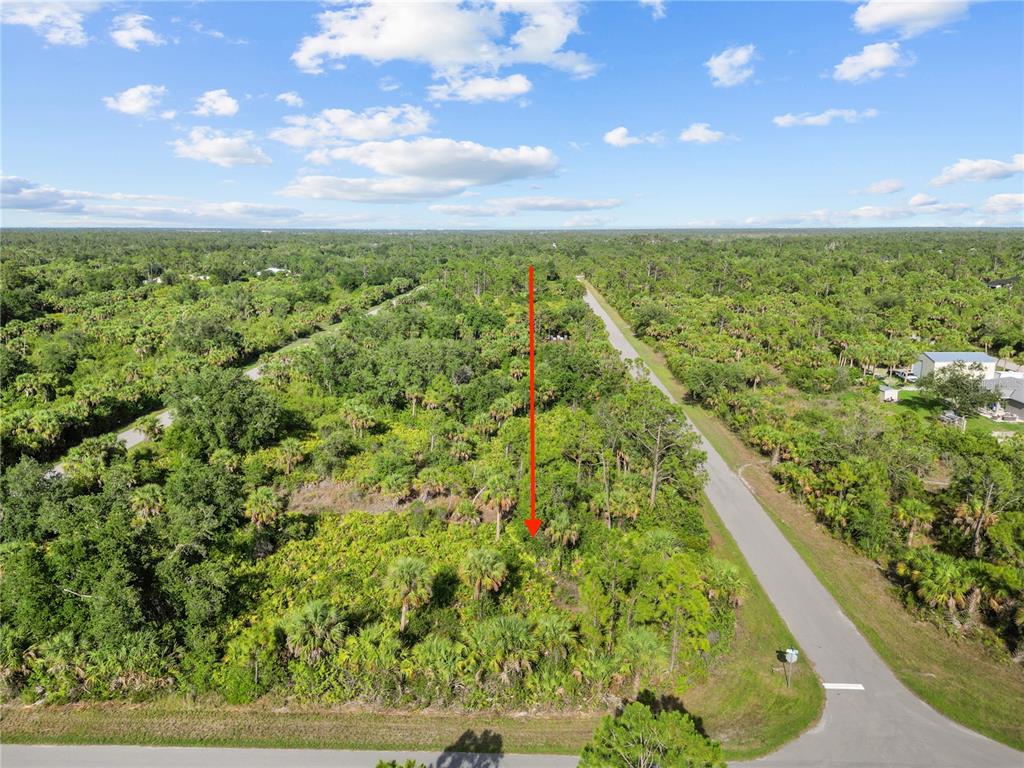 An aerial view shows a vacant, wooded lot bordered by a paved road — 14114 CARNEY AVENUE, PORT CHARLOTTE, FL