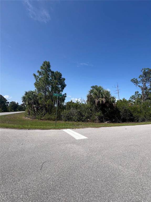 A street corner with a green street sign and dense vegetation under a clear sky — 14114 CARNEY AVENUE, PORT CHARLOTTE, FL