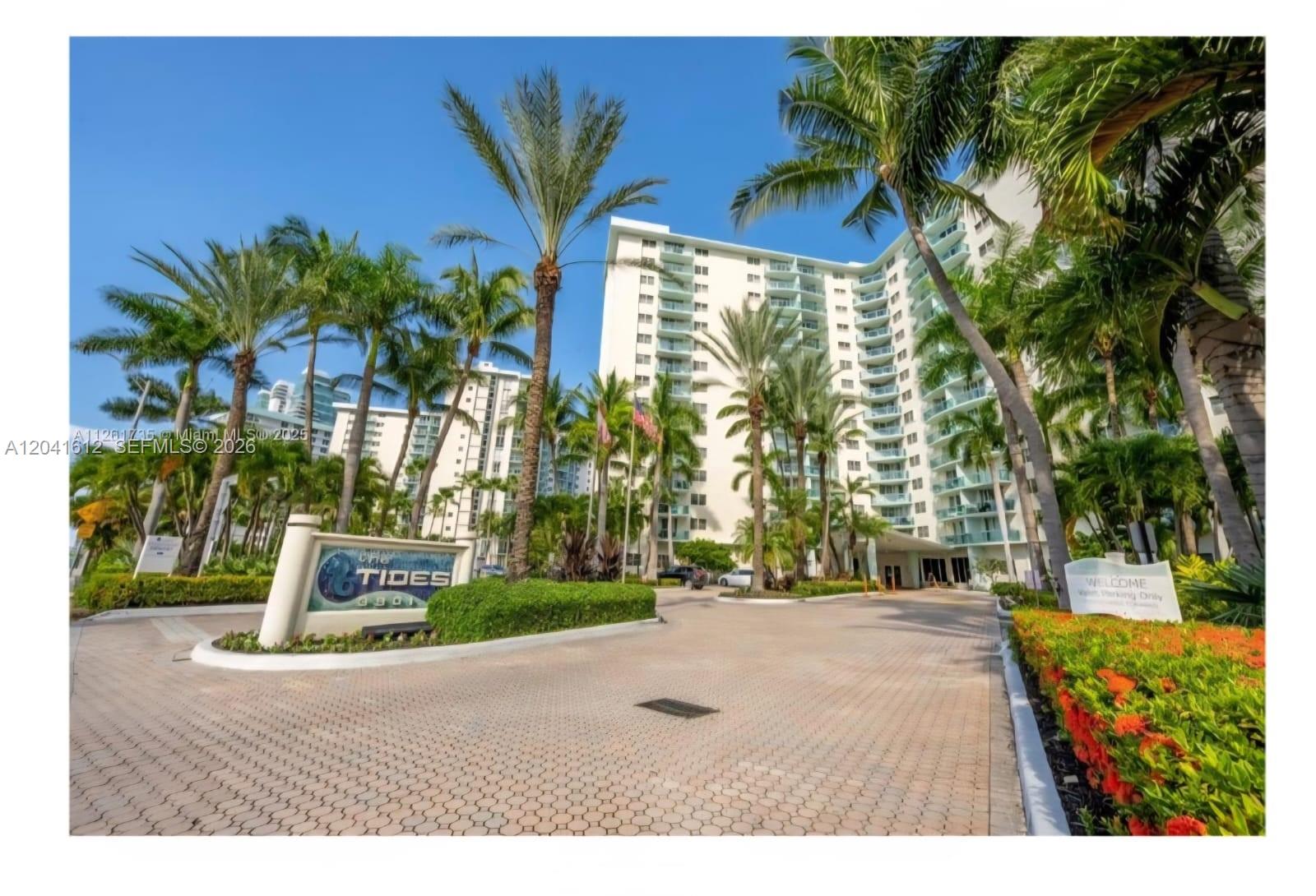 A paved driveway leads to the entrance of a tall white residential building with palm trees — 3901 S Ocean Dr # 8T, Hollywood FL 33019, HOLLYWOOD, FL