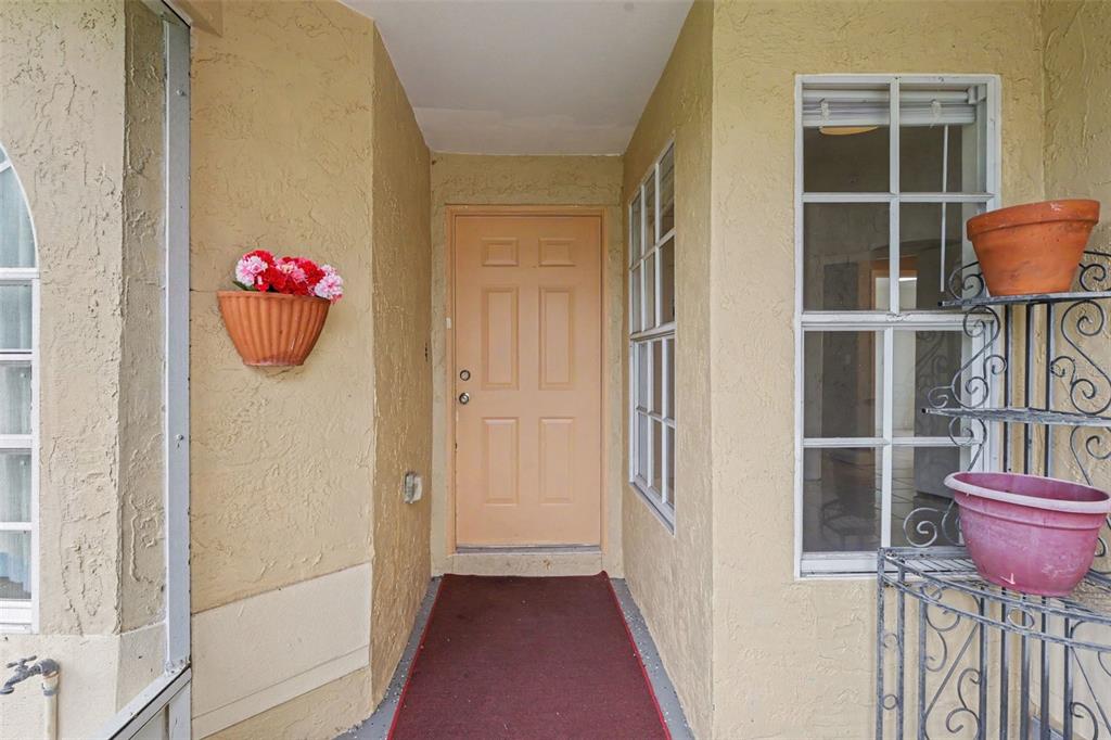 A front entryway features a tan door, a red floor mat, and potted plants — 1607 WIDELAKE COURT, BRANDON, FL