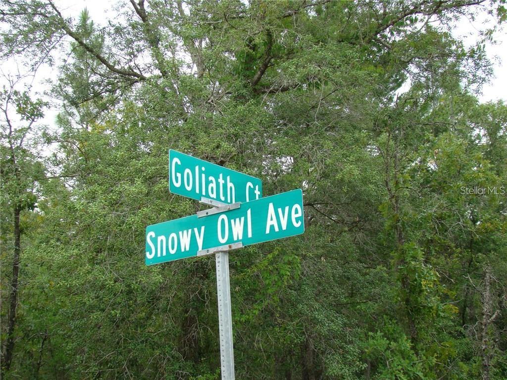 A street sign shows the intersection of Goliath Court and Snowy Owl Avenue — 0 GOLIATH COURT, WEEKI WACHEE, FL