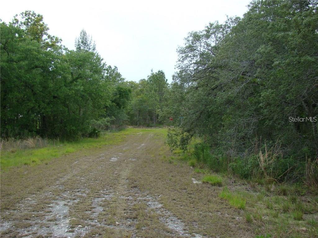 A dirt path leads through a wooded area with dense trees on both sides — 0 GOLIATH COURT, WEEKI WACHEE, FL