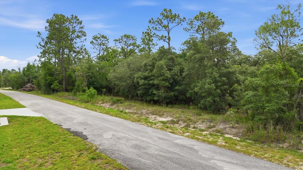 A paved road runs alongside a wooded lot with pine and oak trees — 0000 SW SANDS PT AVE LOT 32, DUNNELLON, FL