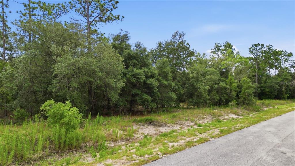 A paved road runs alongside a wooded, undeveloped lot with sandy soil and tall trees — 0000 SW SANDS PT AVE LOT 32, DUNNELLON, FL