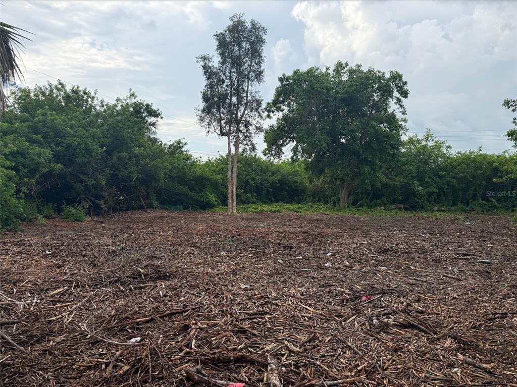 A cleared, debris-covered vacant lot features two prominent trees against a cloudy sky — 861 BURLAND STREET, PUNTA GORDA, FL
