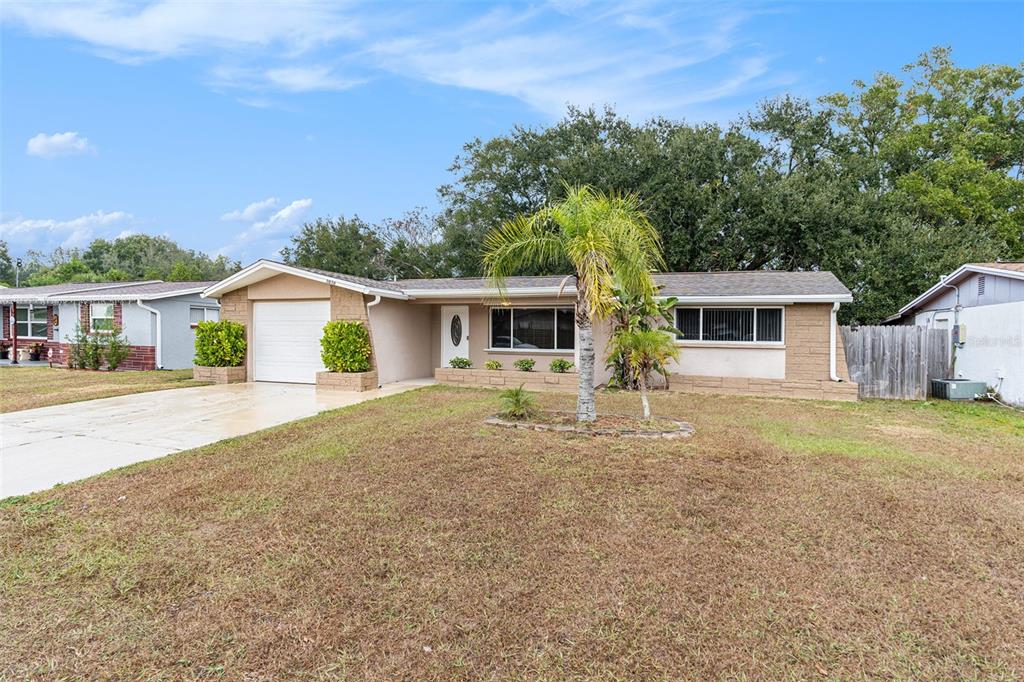 A single-story house with a tan exterior, a palm tree, and a concrete driveway — 3036 BLUE BIRD DRIVE, HOLIDAY, FL