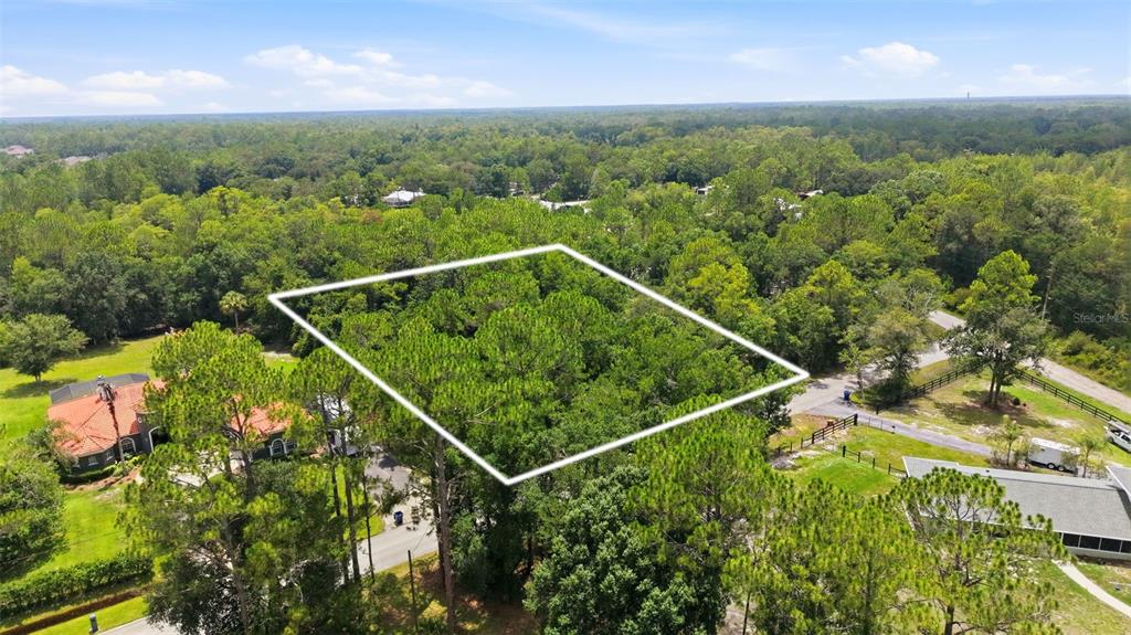 An aerial view shows a wooded residential lot outlined in white near neighboring houses — RAVEN BROOK ROAD, WESLEY CHAPEL, FL