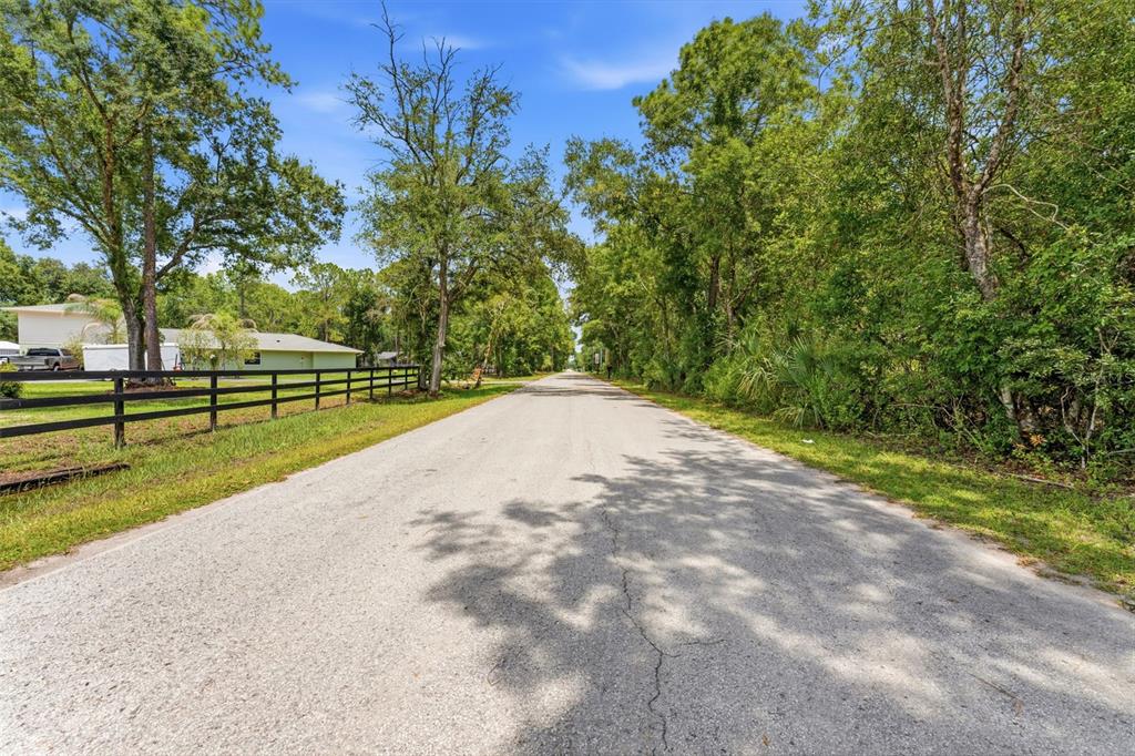 A paved road stretches between a black fence on the left and dense trees — RAVEN BROOK ROAD, WESLEY CHAPEL, FL