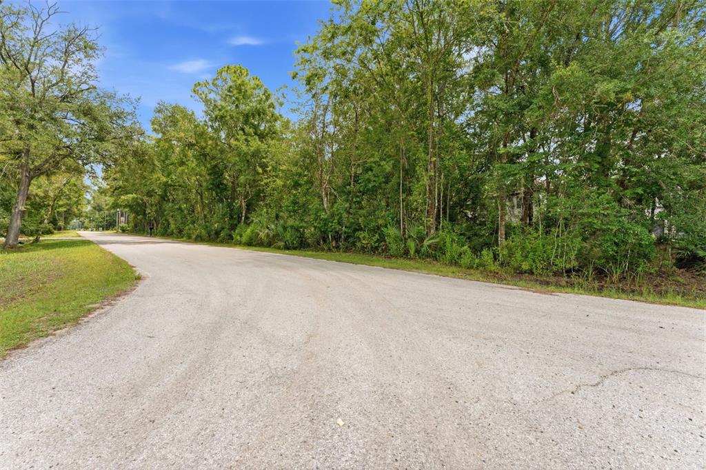 A paved road curves past a dense line of trees under a blue sky — RAVEN BROOK ROAD, WESLEY CHAPEL, FL