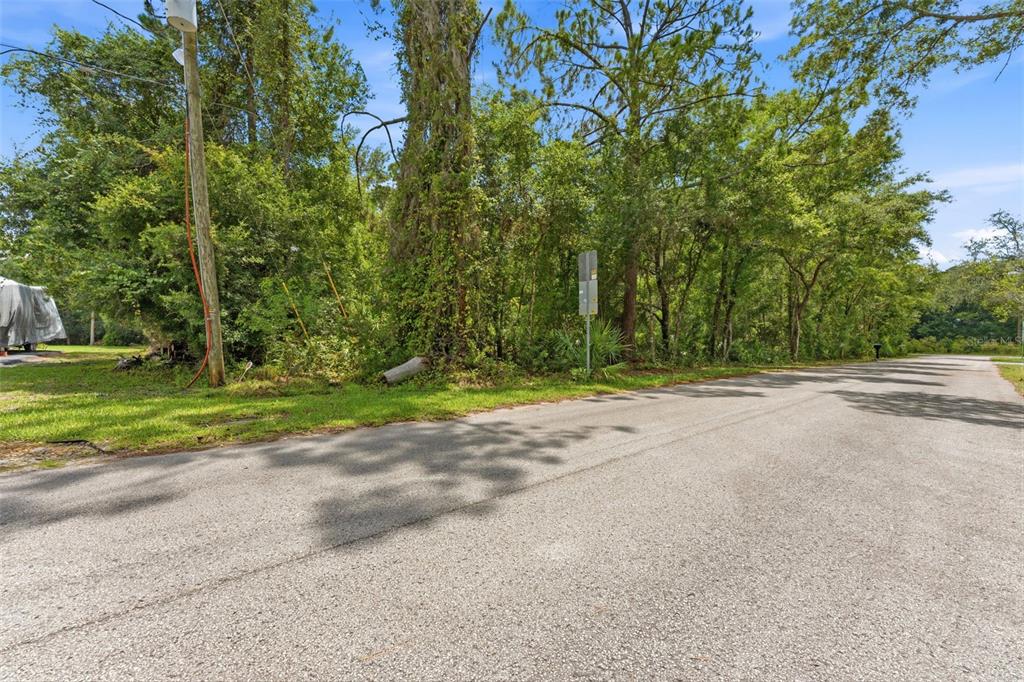A paved road runs alongside a wooded lot with a utility pole and street sign — RAVEN BROOK ROAD, WESLEY CHAPEL, FL