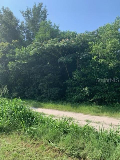 A dirt path runs alongside a dense line of trees and tall green grass — TBA SE 145TH PLACE, SUMMERFIELD, FL